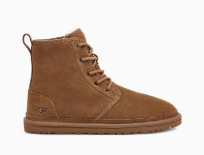 UGG Harkley Classic Boots for Mens - Chestnut/Brown India